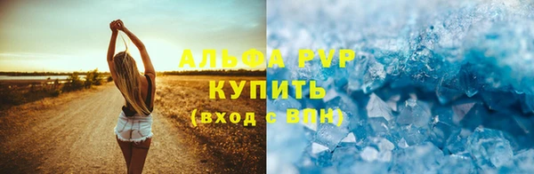 индика Кукмор