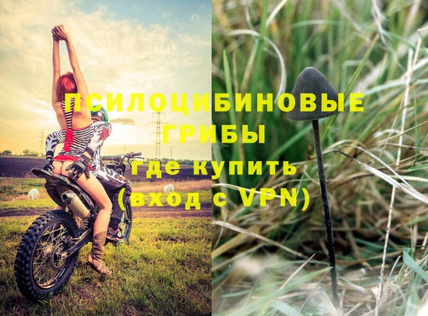 прущий лед Краснослободск