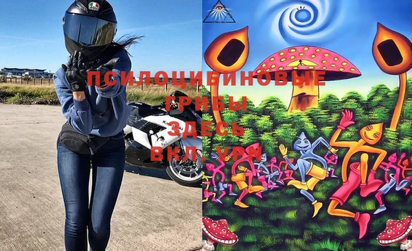 индика Кукмор