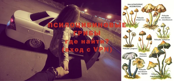 индика Кукмор
